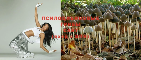винт Алексин