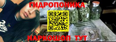 стаф Жуковский