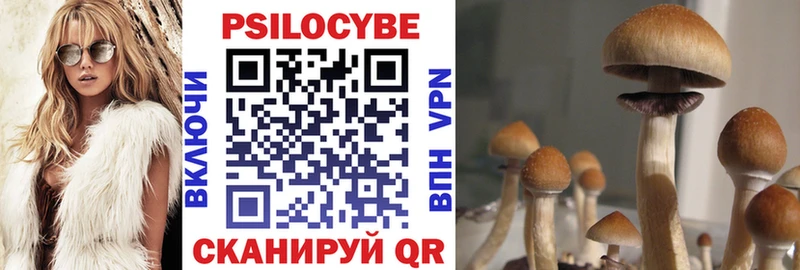 Псилоцибиновые грибы ЛСД Ленинск-Кузнецкий
