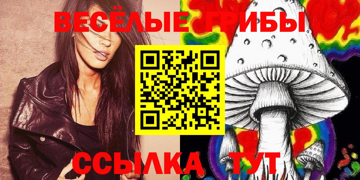 Ленинск-Кузнецкий  Псилоцибиновые грибы Psilocybe  Вход с VPN 